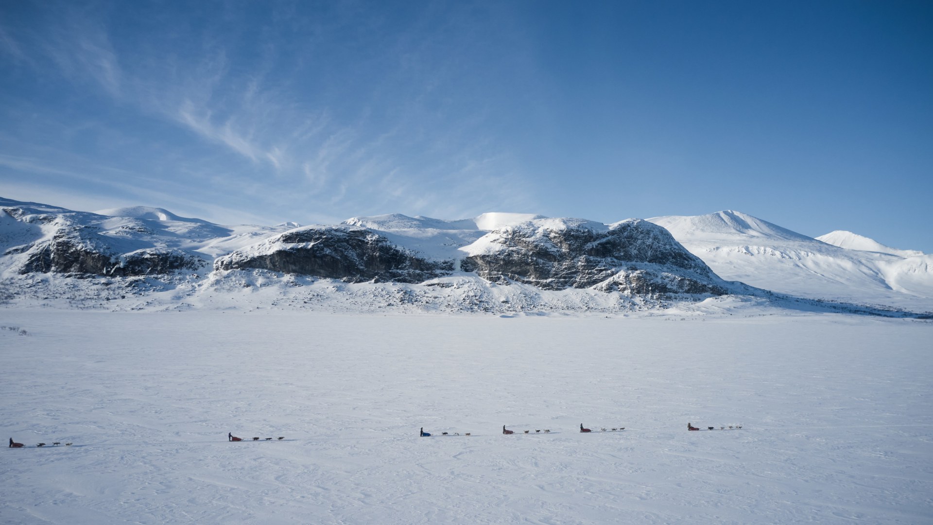 Huskyspuren im Reisa-Tal